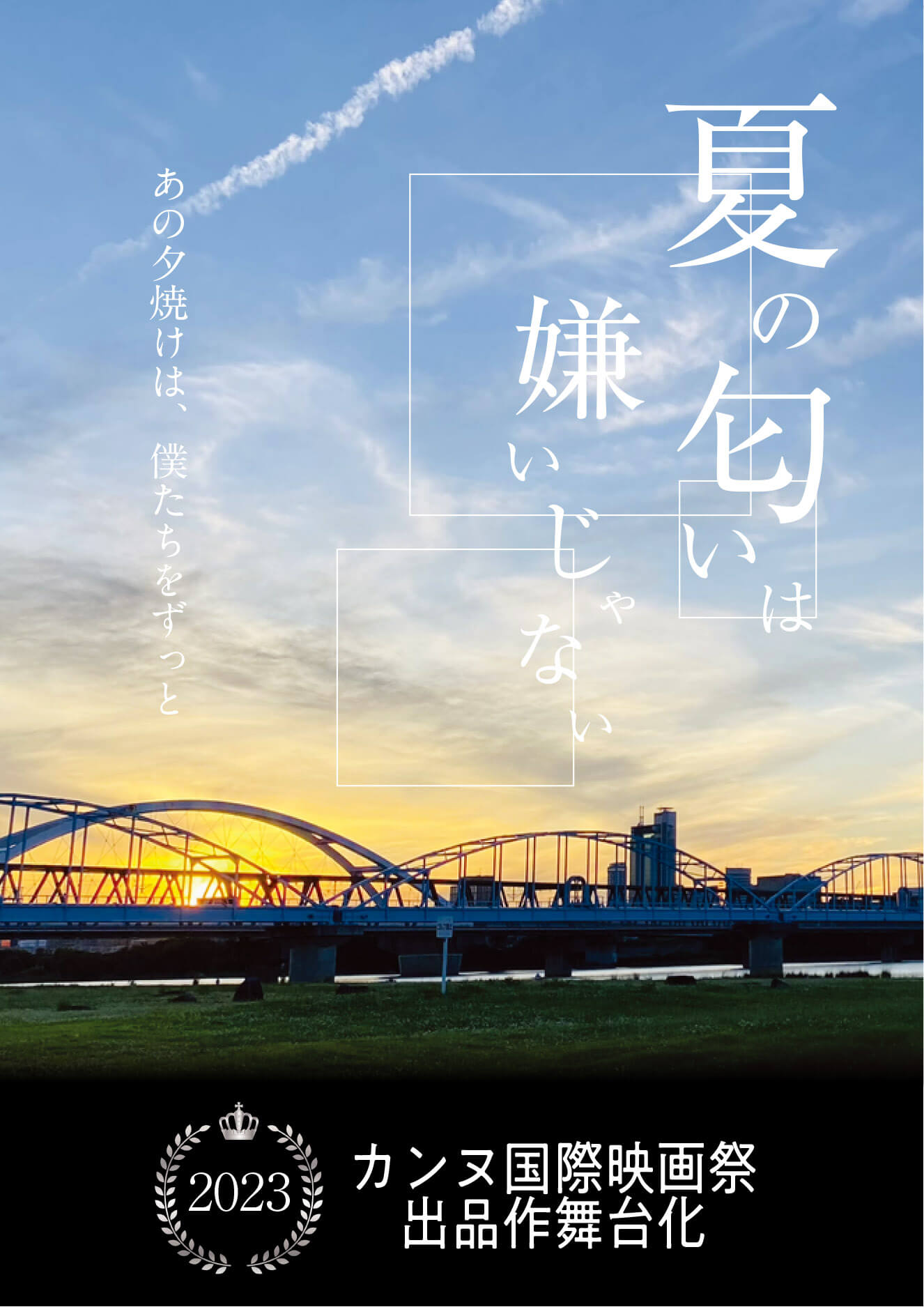 夏の匂いは嫌いじゃない